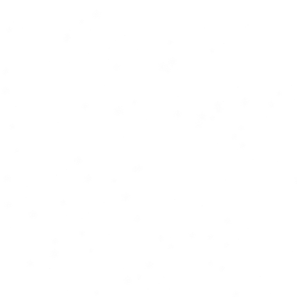 Snow animation